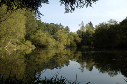 Jewel Lake